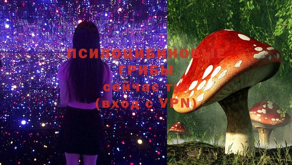 МДПВ Нягань