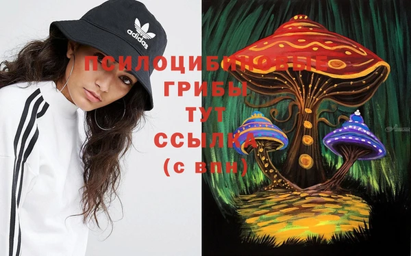 спайс Новозыбков